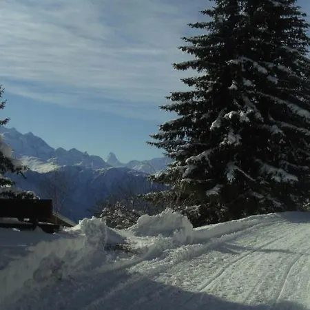Almenrausch 2- Og Sued-ost By Interhome Appartement Riederalp