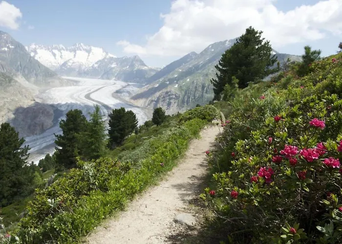 Almenrausch 2- Og Sued-ost By Interhome 아파트 리더알프