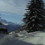 Almenrausch 2- Og Sued-ost By Interhome Appartement Riederalp